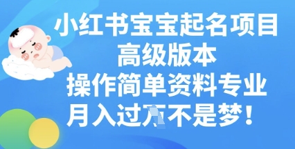 小红书宝宝起名项目高级版本，操作简单，资料专业，月入过W-小熊猫站长