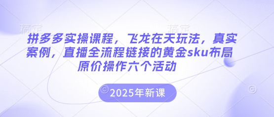 拼多多实操课程，飞龙在天玩法，真实案例，直播全流程链接的黄金sku布局原价操作六个活动-小熊猫站长