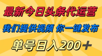 最新今日头条代运营，我们提供视频，你一键发布，单号日入200+【揭秘】-小熊猫站长