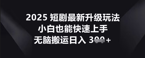 2025短剧最新升级玩法，小白也能快速上手，无脑搬运日入3张-小熊猫站长