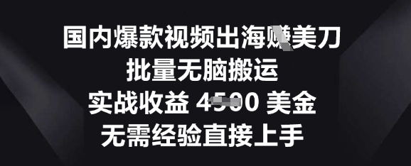 国内爆款视频出海挣美刀，批量无脑搬运，实战收益4.5k，无需经验直接上手-小熊猫站长