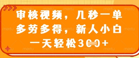 最新审核视频，几秒一单，多劳多得，新人小白一天轻松3张【揭秘】-小熊猫站长