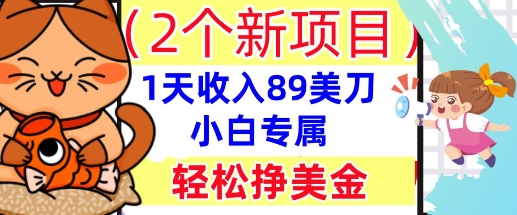 2个新项目，轻松挣美金， 1天收入89美刀，小白专属，干货分享-小熊猫站长
