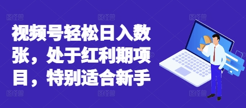 视频号轻松日入数张，处于红利期项目，特别适合新手-小熊猫站长