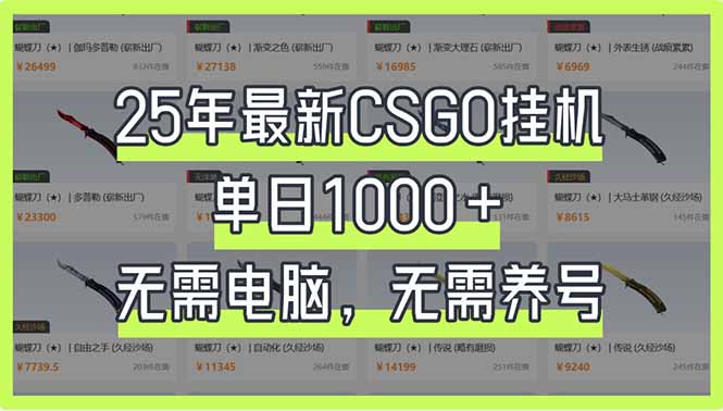 （14178期）25年最新CSGO挂机系统，单日1000+，无需电脑，无需养号，0基础可上手-小熊猫站长