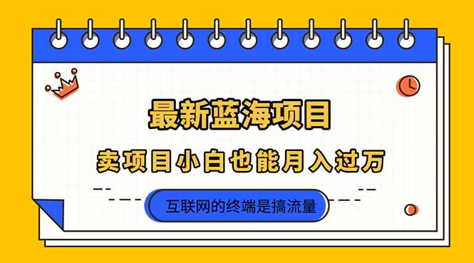 （14289期）2025年最新蓝海项目，卖项目小白也能月入过万-小熊猫站长