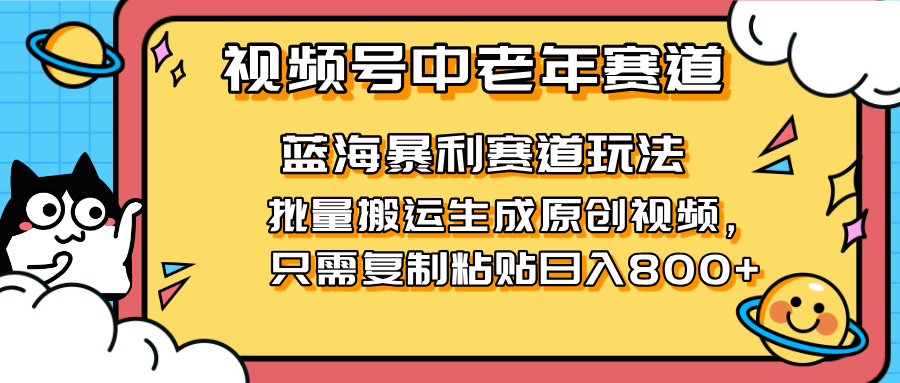 （14314期）2025视频号中老年短视频蓝海暴利风口！复制粘贴搬运视频单日赚800+，无…-小熊猫站长