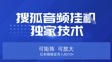 【搜狐音频挂G】独家技术，可矩阵可放大，红利期稳定月入8k【揭秘】-小熊猫站长