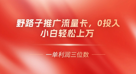 0门槛推广流量卡，一单收益上百，0投入，小白月入过W-小熊猫站长