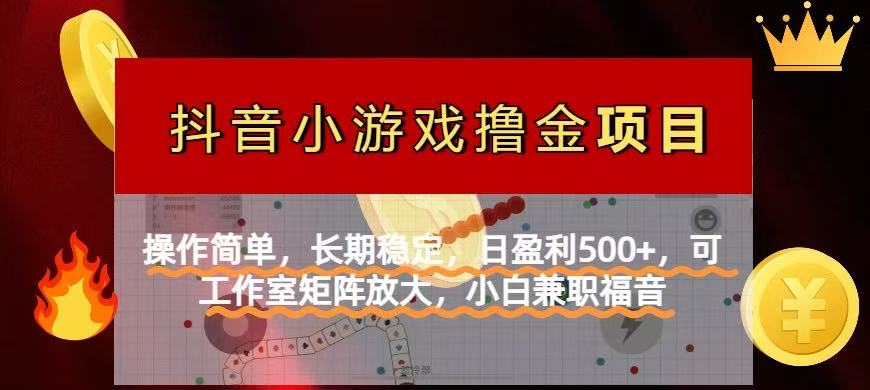 （14290期）【抖音小游戏发行人计划项目】操作简单，长期稳定，日盈利500+，可工作…-小熊猫站长