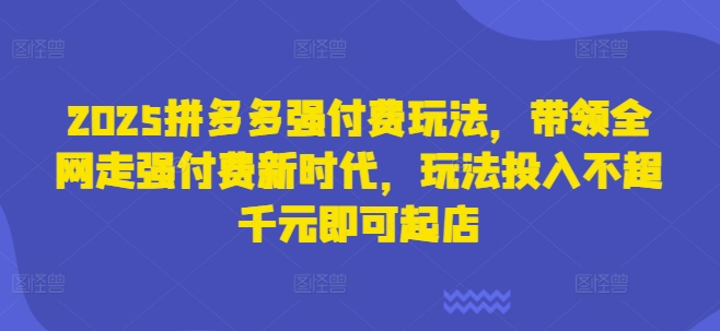2025拼多多强付费玩法，带领全网走强付费新时代，玩法投入不超千元即可起店-小熊猫站长