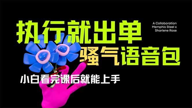 （14170期）爆火全网的开车导航骚气语音包,只要执行就出单，小白看完课程就能实操…-小熊猫站长