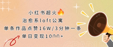 小红书超火的治愈系loft公寓，单条作品点赞16W，3分钟一条，单日变现数张-小熊猫站长