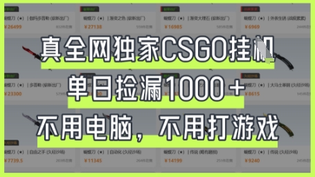真全网独家CSGO挂G，单日捡漏1k+【揭秘】-小熊猫站长