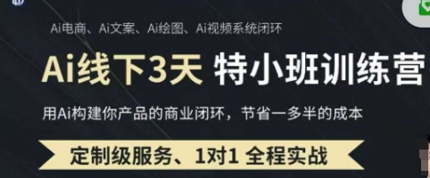 AI实操培训第20-21期线下，0基础保姆级教程，3月最新整理，企业获客、降本增效、打造超级个体-小熊猫站长