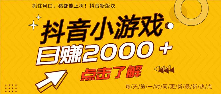 （14319期）抖音小游戏，最新风口项目，亲测单游戏2000+感兴趣点击了解。-小熊猫站长