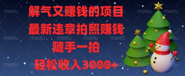 解气又挣钱的项目，最新违章拍照挣钱，随手一拍，轻松收入数张【揭秘】-小熊猫站长